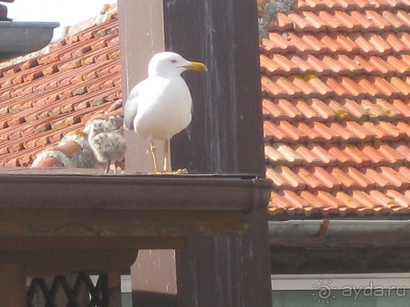 Отель, в который хочется вернуться