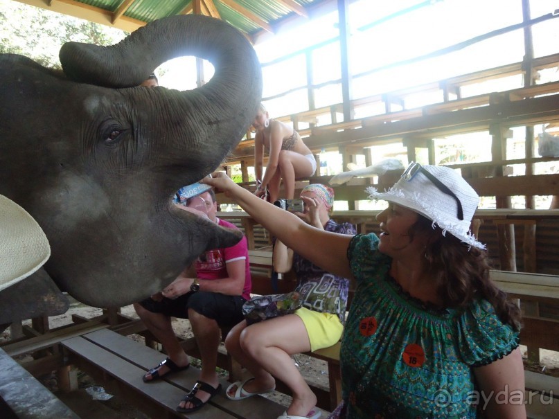фото Ambassador City Jomtien Garden Wing