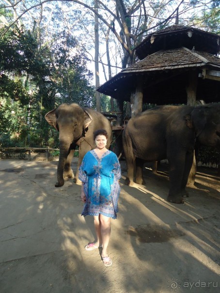 фото Ambassador City Jomtien Garden Wing