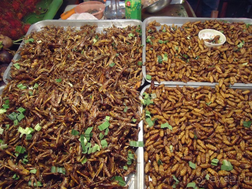 фото Ambassador City Jomtien Garden Wing