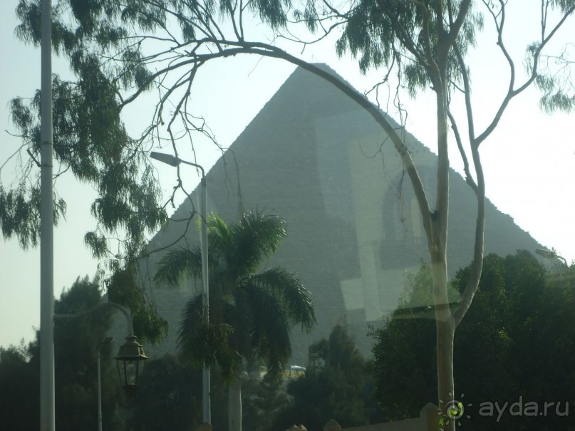 фото Pickalbatros Aqua Blu Sharm El Sheikh