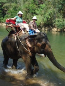 фото Ambassador City Jomtien Marina Tower Wing