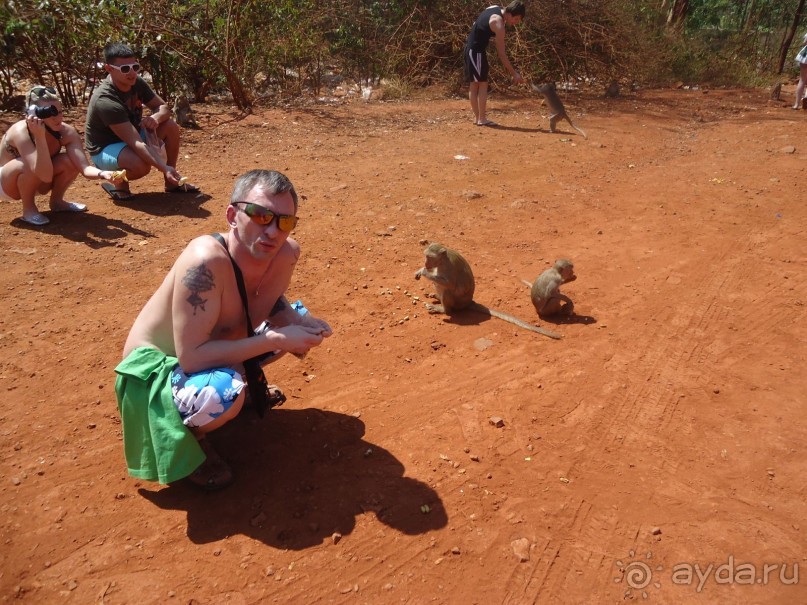 фото Ambassador City Jomtien Marina Tower Wing