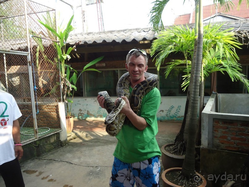 фото Ambassador City Jomtien Marina Tower Wing