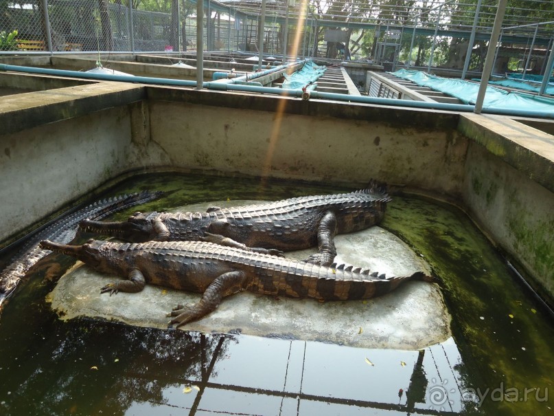 фото Dynasty Mui Ne Beach Resort & Spa