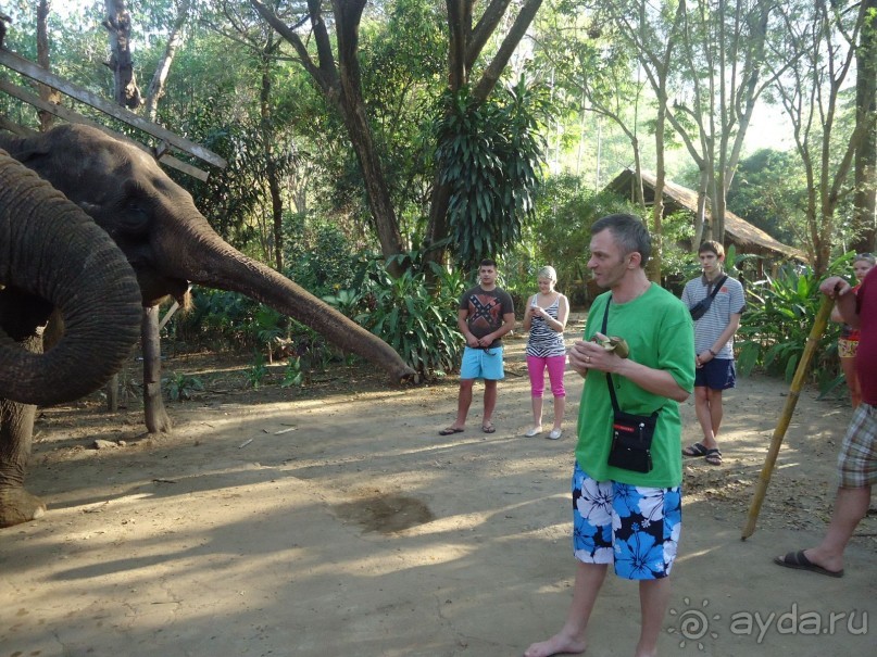 фото Dynasty Mui Ne Beach Resort & Spa