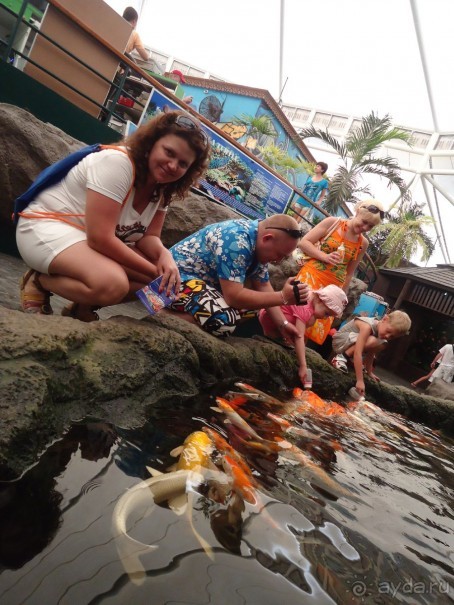 фото Dynasty Mui Ne Beach Resort & Spa