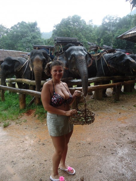 фото Coco Beach Resort