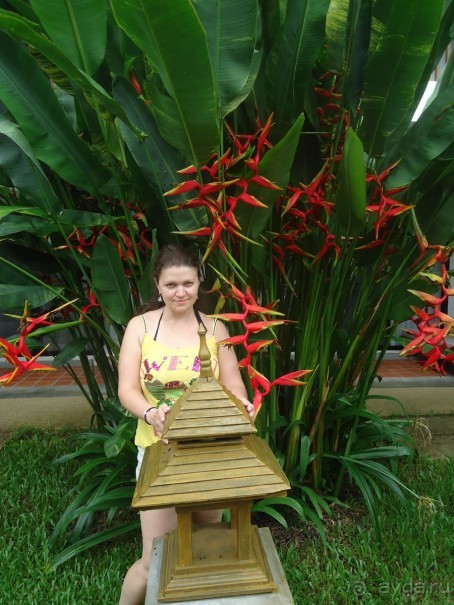 фото Coco Beach Resort