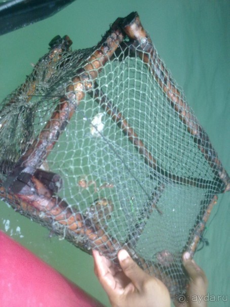 фото Naithonburi Beach Resort