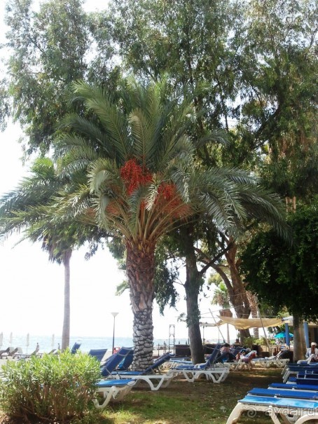 к 4* отелю не относится