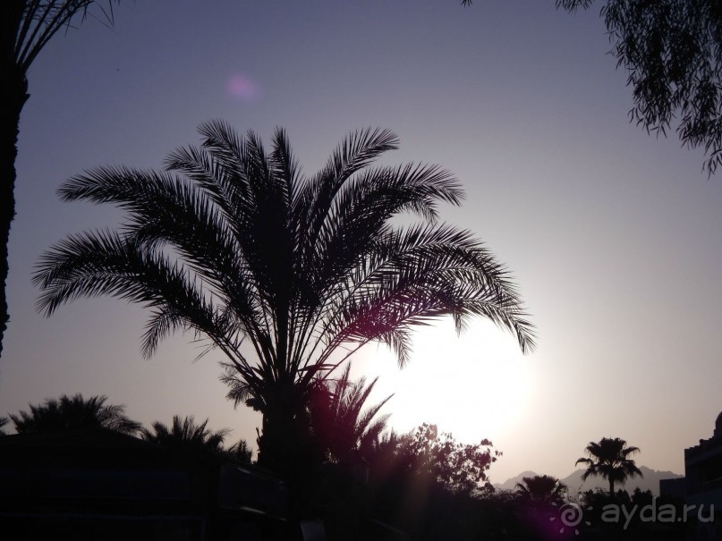 фото Gafy Resort 