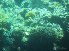 Просто супер!!!