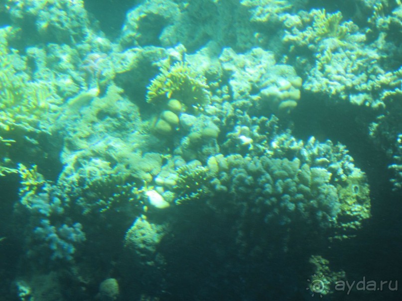 Просто супер!!!