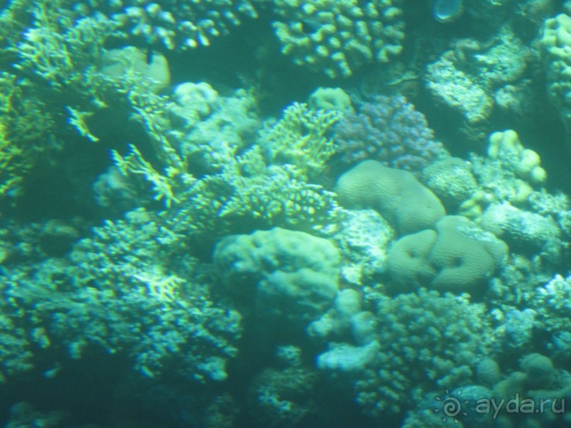 Просто супер!!!