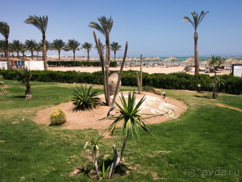 что сказать ,неплохая по сути трешка