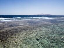 что сказать ,неплохая по сути трешка