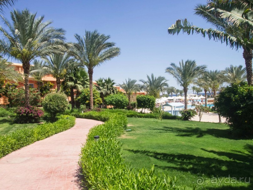 что сказать ,неплохая по сути трешка