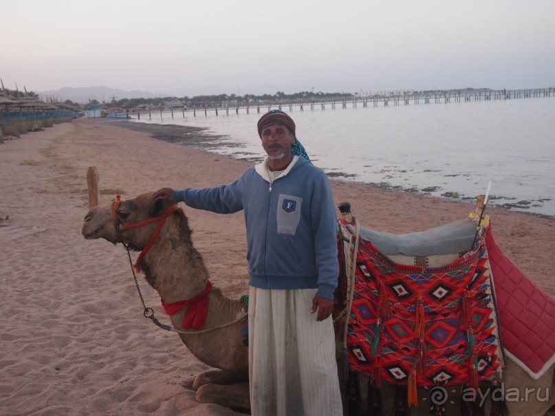 что сказать ,неплохая по сути трешка