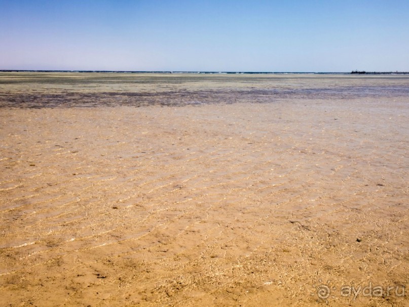 что сказать ,неплохая по сути трешка