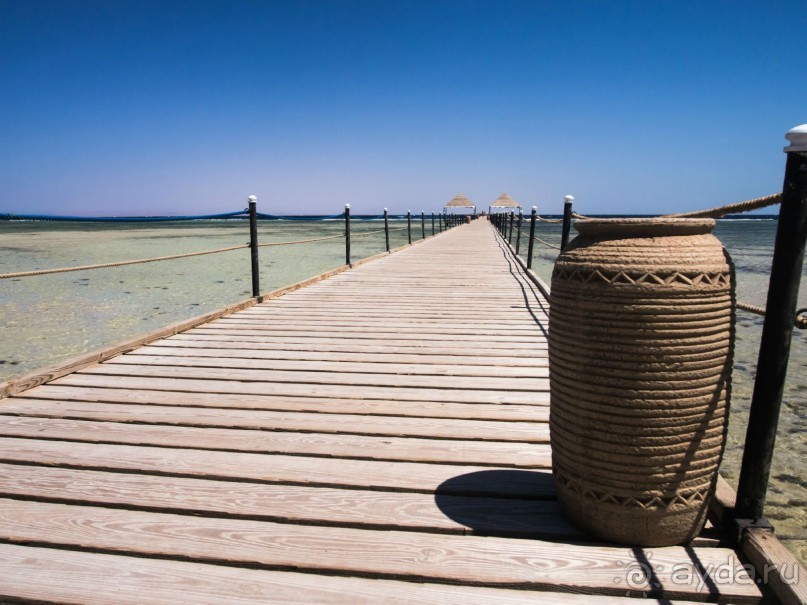 что сказать ,неплохая по сути трешка