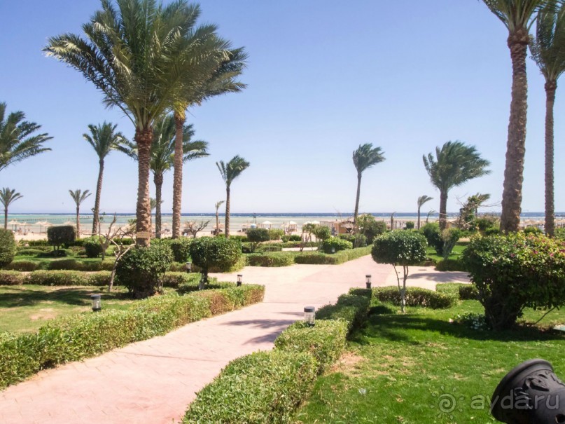 что сказать ,неплохая по сути трешка