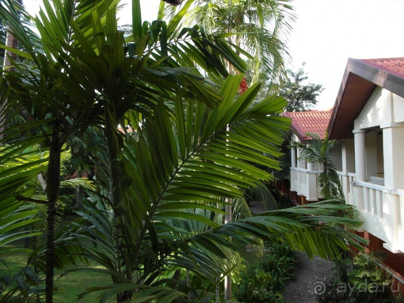 фото Broadway Mansions