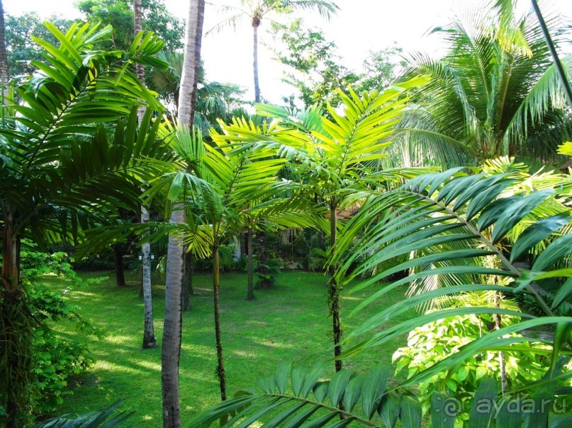 фото Broadway Mansions