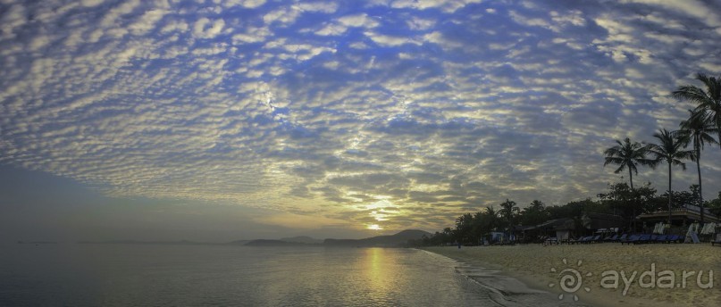 Как я искал баунти на Самуи