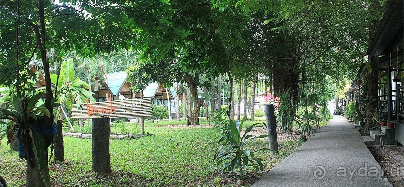 Как я искал баунти на Самуи