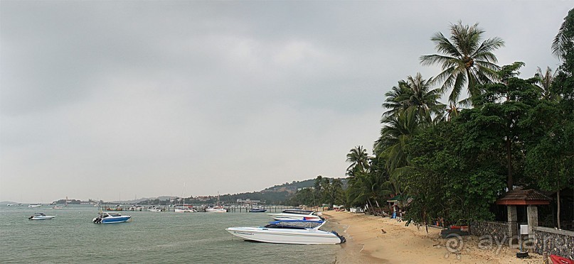 Как я искал баунти на Самуи