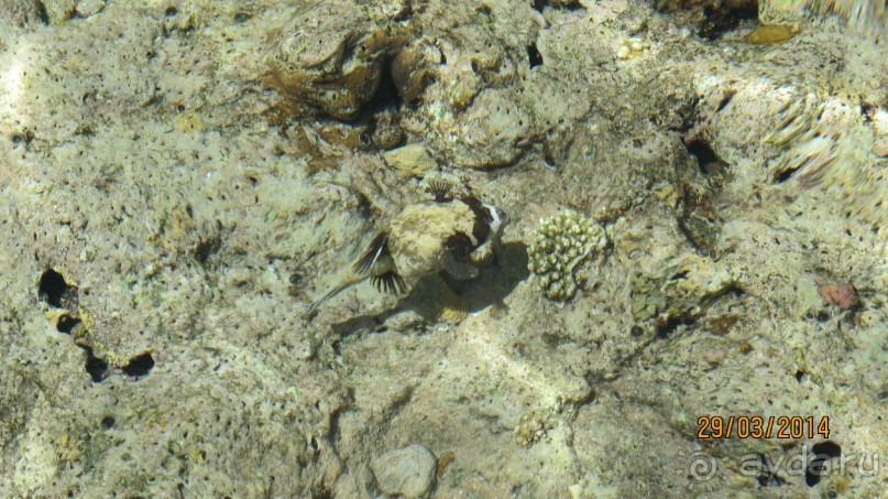 фото Jolie Ville Golf & Resort