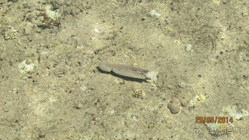 фото Jolie Ville Golf & Resort