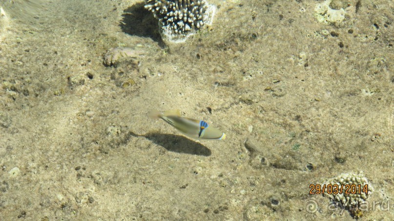 фото Jolie Ville Golf & Resort