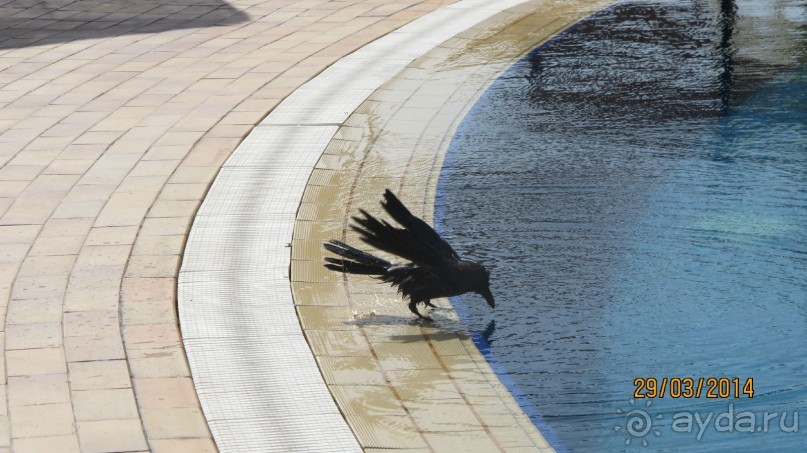 фото Дипломатическая