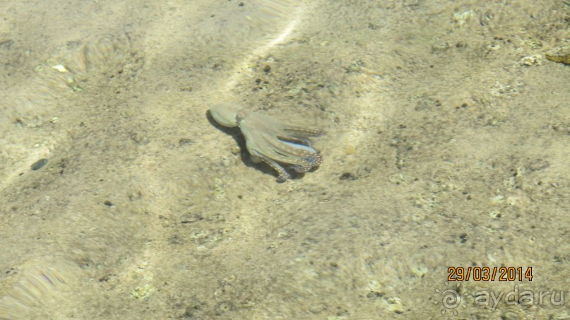 фото Дипломатическая