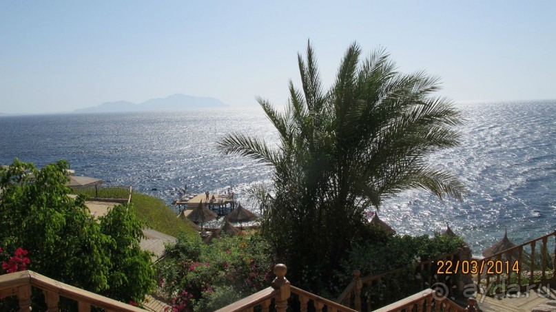 фото Дипломатическая