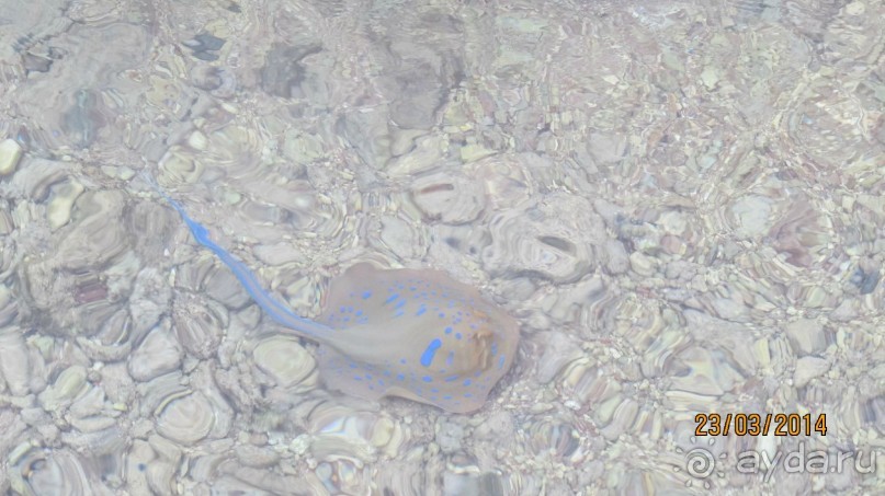 фото Дипломатическая