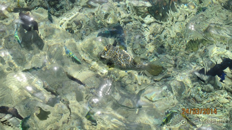 фото Дипломатическая