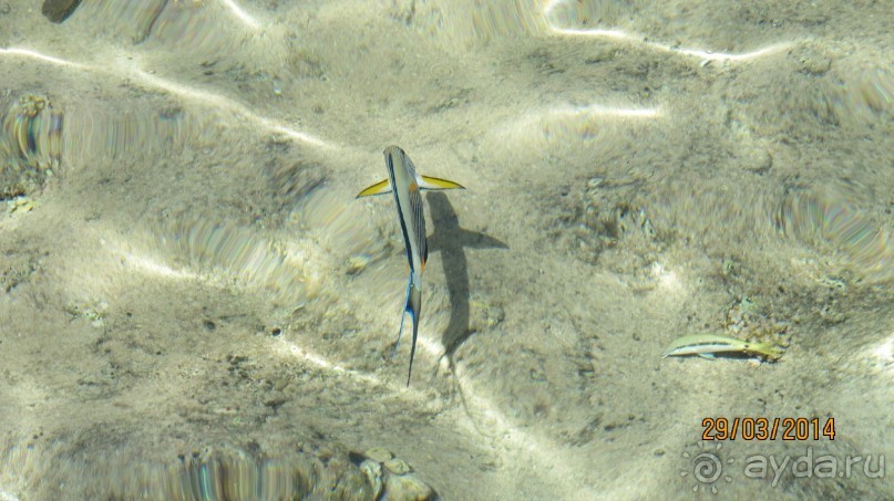 фото Дипломатическая