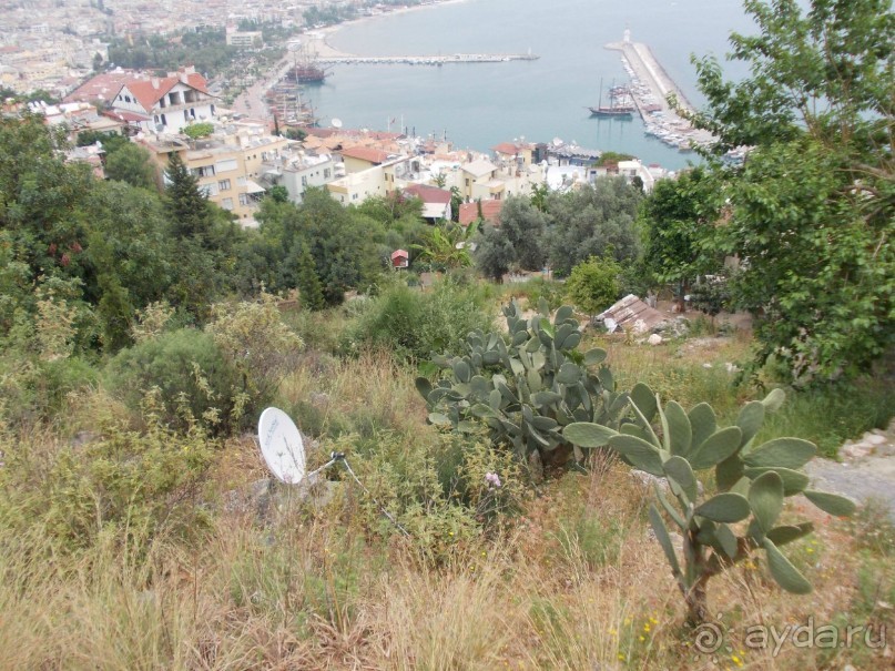 Замечательное место для экскурсии.