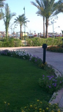 фото Sunrise Garden Beach Resort