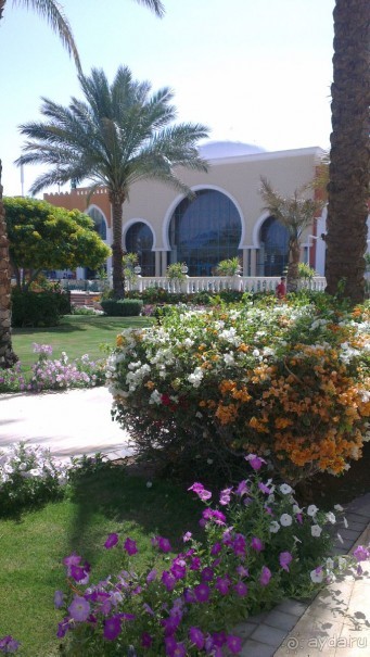 фото Sunrise Garden Beach Resort
