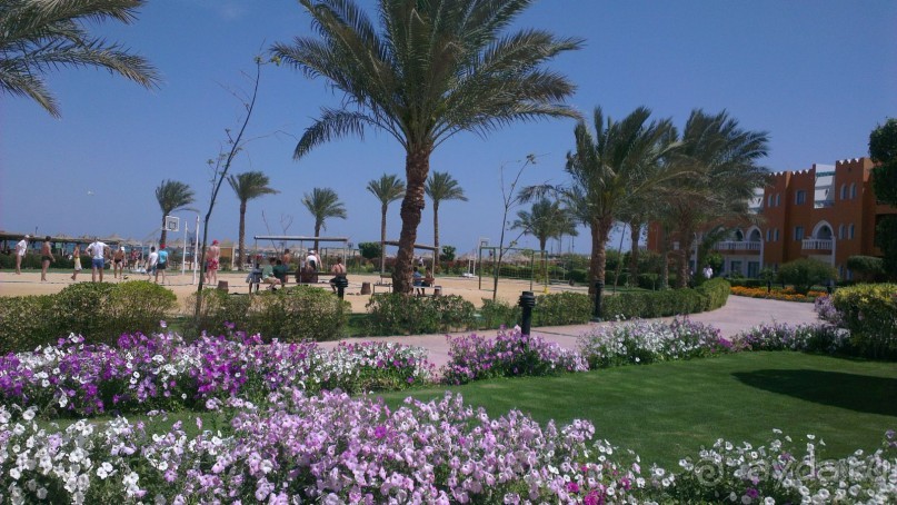 фото Sunrise Garden Beach Resort