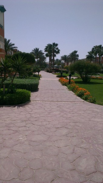 фото Sunrise Garden Beach Resort