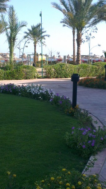 Хочу обратно