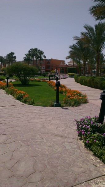 Хочу обратно