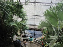 Германия (Кёльн) – Нидерланды (Амстердам) в сентябре 2014 г. самостоятельно