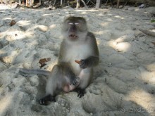 Из мороза России  в тепло Малайзии, на пляжи Пангкора, самостоятельно в январе  2015г.