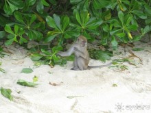 Из мороза России  в тепло Малайзии, на пляжи Пангкора, самостоятельно в январе  2015г.